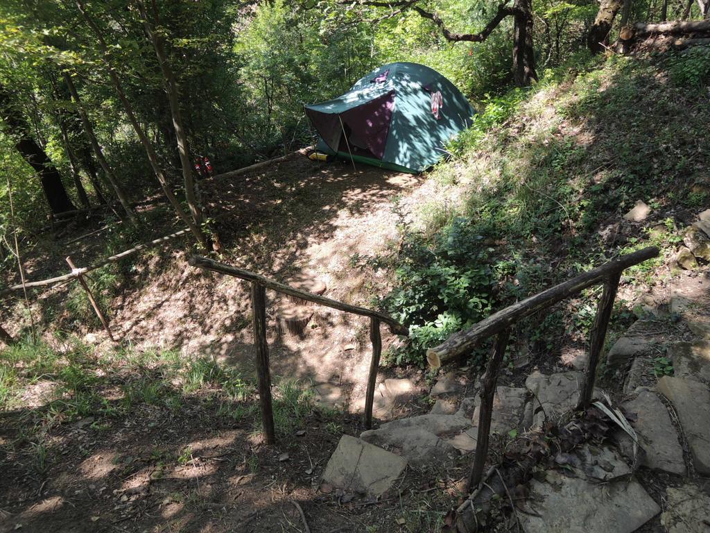 Adrenaline Check Kaki Event Place Portoroz Phòng bức ảnh