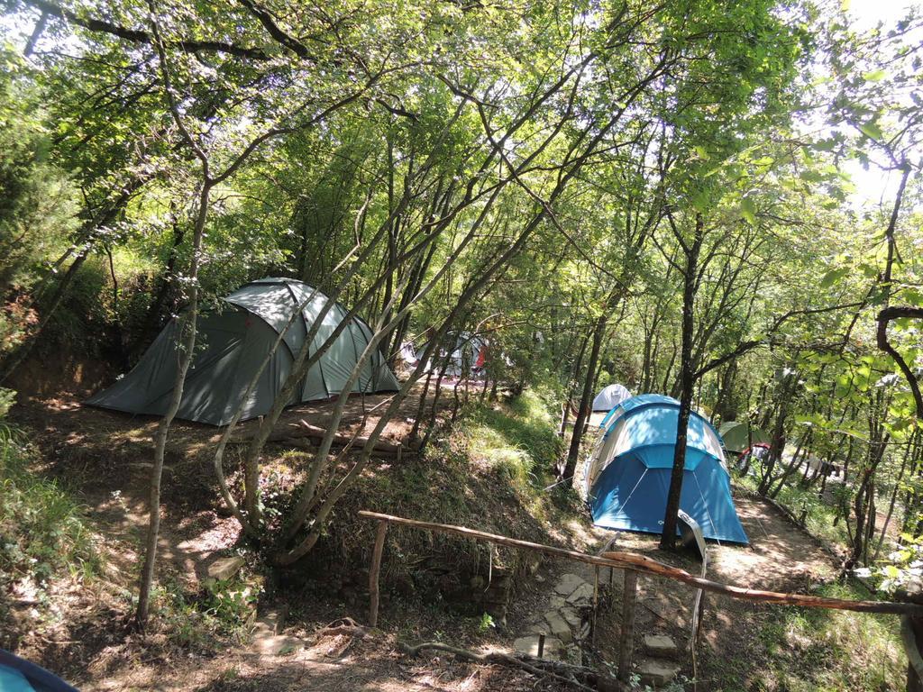 Adrenaline Check Kaki Event Place Portoroz Phòng bức ảnh